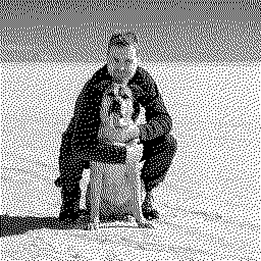 Mattias Festin crouching behind his dog on a snowy beach.